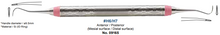 Hygienist est2 Scaler Pair, Kiriko