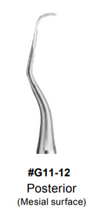 EST Gracey Curette, Toiro
