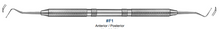 Scaler, for Furcation