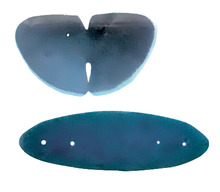 Protraction Face Mask