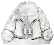 Philosophy 1™ Expander